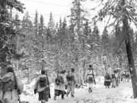 Как финский солдат проглотил 30 таблеток метамфетамина, подорвался на мине и прошел 400 километров по лесу посреди Второй мировой
