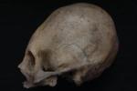Повелительница Пакопампы: женщина с удлиненным черепом, правившая в Древнем Перу 3000 лет назад