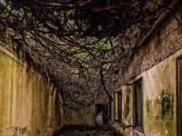Остров Чумы: самое страшное место Италии и его тайны