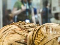 Распаковать, измельчить, съесть - европейская история мумий поистине ужасает