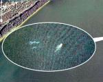 СМИ: Google Earth обнаружил лохнесское чудовище