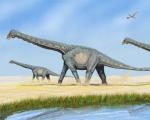 На австралийской ферме нашли гигантского динозавра неизвестного вида