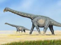На австралийской ферме нашли гигантского динозавра неизвестного вида