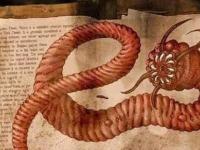 В Монголии, предположительно, доказали внеземное происхождение червя из пустыни Гоби, который плюётся кислотой и огнём