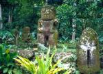 Скульптуры острова Нуку-Хива: существовала ли цивилизация рыболюдей?