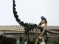 В Китае обнаружен "американский" динозавр
