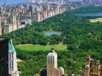 В Нью-Йорке проведут первую в истории перепись кузнечиков