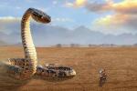 В Сахаре живёт огромная змея, питающаяся верблюдами? Свидетельства очевидцев, и экспертное мнение серпентолога