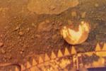 Детали, которых нет на снимках поверхности Венеры, находящихся в открытом доступе