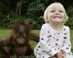 Детеныши обезьян лучше контролируют свои эмоции