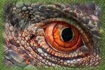 Рептилоиды - миф или реальность? Следы неизвестной цивилизации