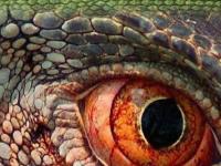 Рептилоиды - миф или реальность? Следы неизвестной цивилизации