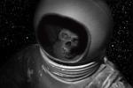Нулевые космонавты СССР: кто побывал в космосе до Гагарина и почему их не называют героями?