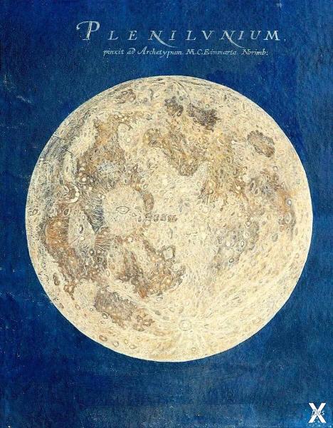 Полная Луна, иллюстрация Марии Клары ...