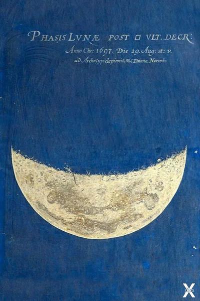 Фаза Луны, иллюстрация Марии Клары Ай...