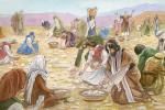 Библейская манна небесная: что это такое и с чем ее едят?
