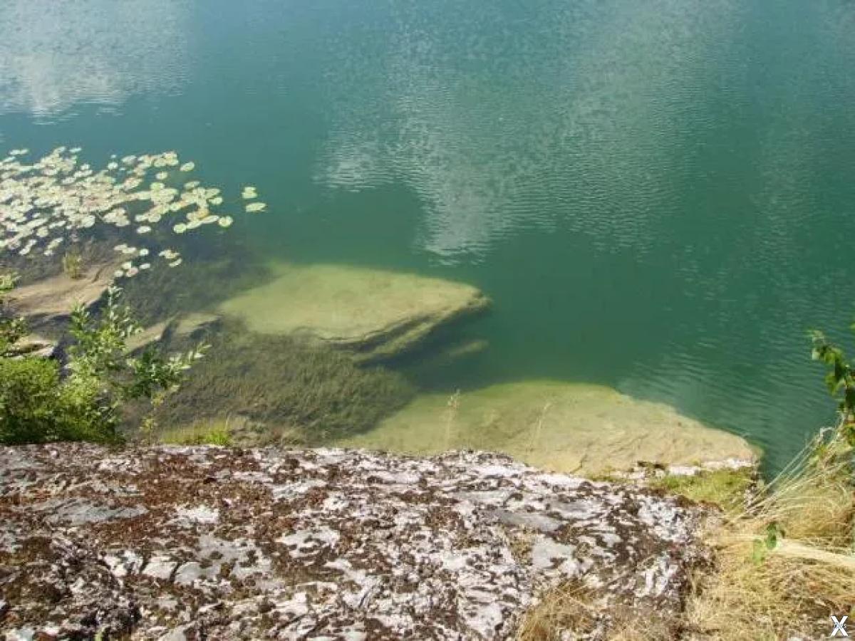 В озеро глубиной 5 м. Бездонное круглое озеро в Солнечногорске. Озеро Бездонка Солнечногорск. Бездонное озеро Солнечногорск глубина. Озеро бездонное Нижний Тагил глубина.