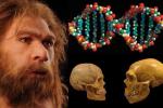 Какие болезни достались нам от неандертальцев