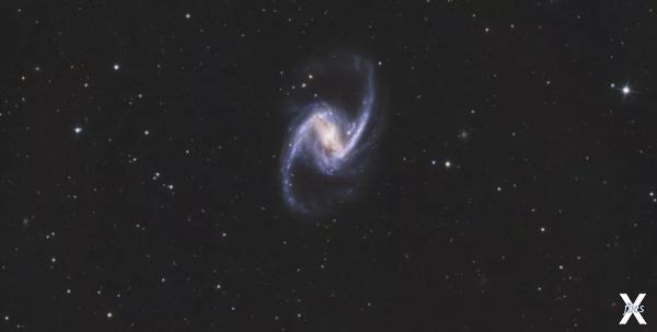 Галактика NGC-1365