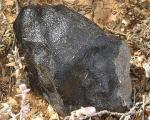 Ученые нашли родственный Земле метеорит