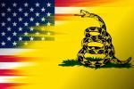 Раньше на флаге США была гремучая змея: угроза или защита?