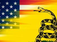Раньше на флаге США была гремучая змея: угроза или защита?