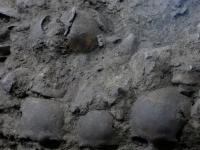 В 1908 году в пещере Мексики участники экспедиции обнаружили более 200 трёхметровых скелетов и крупные примитивные орудия