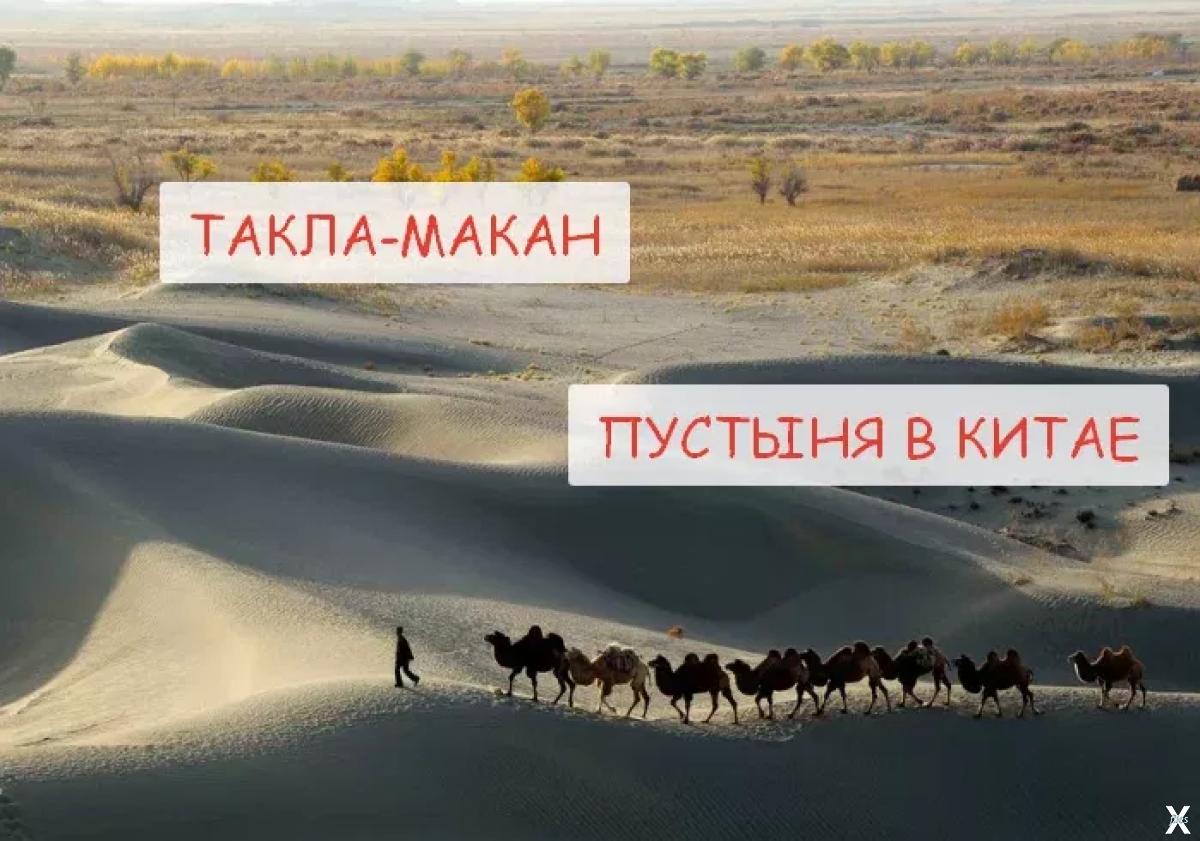Такла макан в какой части света находится. Пустыня Такла Макан. Пустыня Такла-Макан, Синьцзян-уйгурский автономный район. Пустыня Такла Макан где. Пустыня Такла Макан презентация.