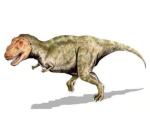 Тираннозавры массово умирали от воспаления горла