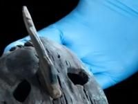 Корабль "Эндьюранс" и маски ацтеков: топ археологических открытий 2022 года