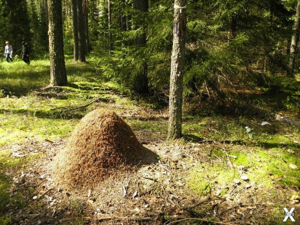 Как ни прискорбно, но в масштабах Все...