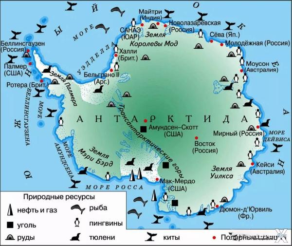 Карта Антарктиды со всеми живущими в ...