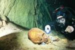 Черепа возрастом 9,5 тысяч лет с микросхемами: открытие мексиканских археологов в затопленной пещере