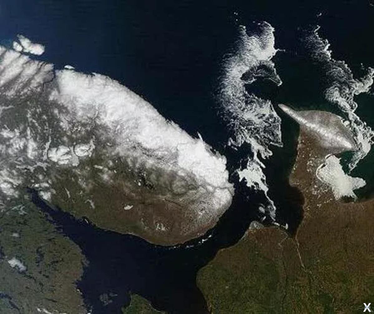 фото области со спутника