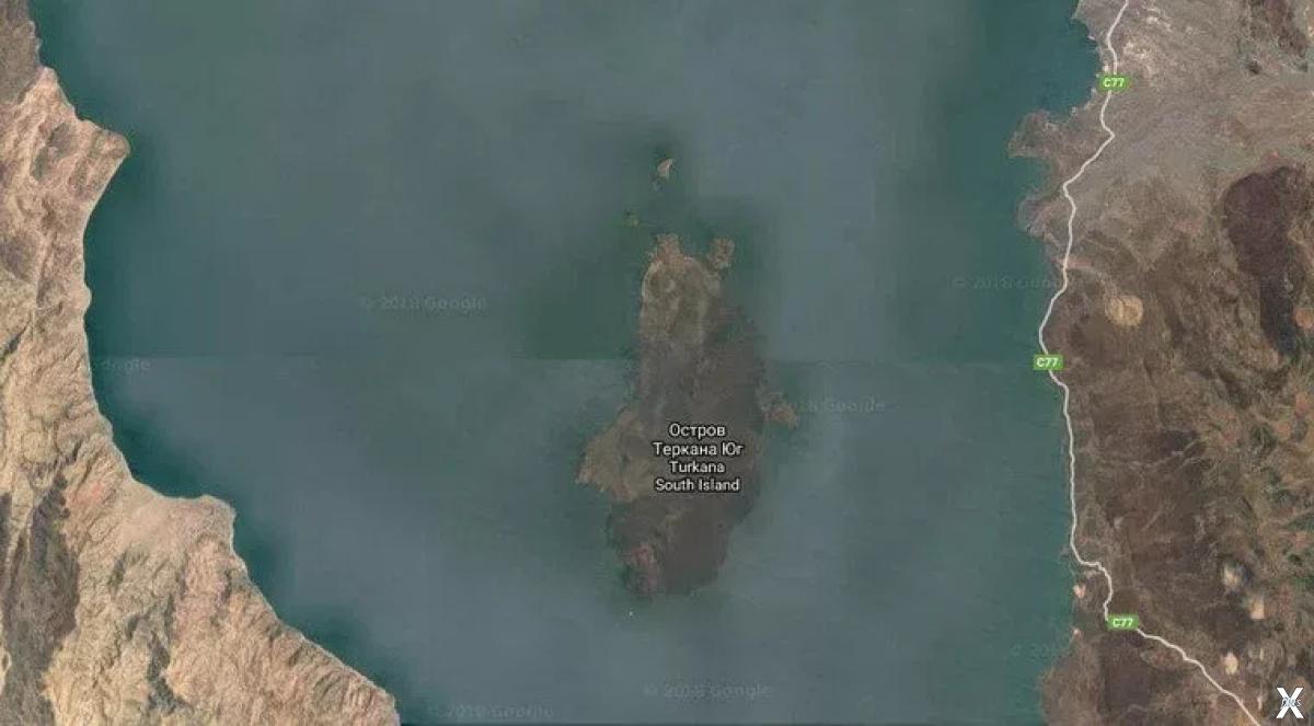 Остров решат. Озеро Рудольф остров ЭНВАИТЕНЕТ. Кения остров ЭНВАИТЕНЕТ. Остров ЭНВАИТЕНЕТ на карте. Озеро Рудольфа Туркана на карте.