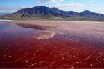 Вода смерти у Горы Бога: причудливое озеро в Танзании, превращает животных в "камень"