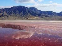 Вода смерти у Горы Бога: причудливое озеро в Танзании, превращает животных в "камень"