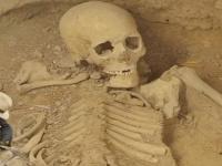 Ктулху из пустыни Гоби: неординарная находка британских палеонтологов