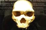 700 000-летний череп, найденный в Греции, полностью опровергает теорию происхождения "человека разумного" из Африки