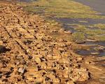 Высыхание озера Чад поставило на грань выживания 30 миллионов человек