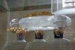 Крылатая Мумия и стеклянные саркофаги: что власти изъяли у археологов