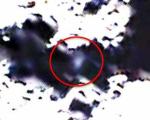 NASA показало снимки, сделанные лунным зондом-камикадзе