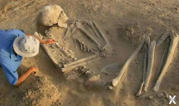 Скелеты великанов находили и ранее