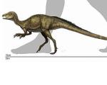 Палеонтологи нашли самого маленького динозавра северной Америки