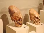 Загадка черепов Паракаса: возможно ли, что древние правители были потомками прежней расы?