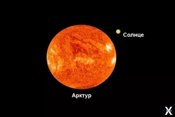 Арктур и Солнце в сравнении