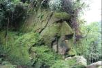 Каменные лики богов: о чем молчат гигантские изваяния в амазонских джунглях