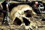 Находка в горах Чечни: 60 лет назад исследователь обнаружил череп строителя дольменов