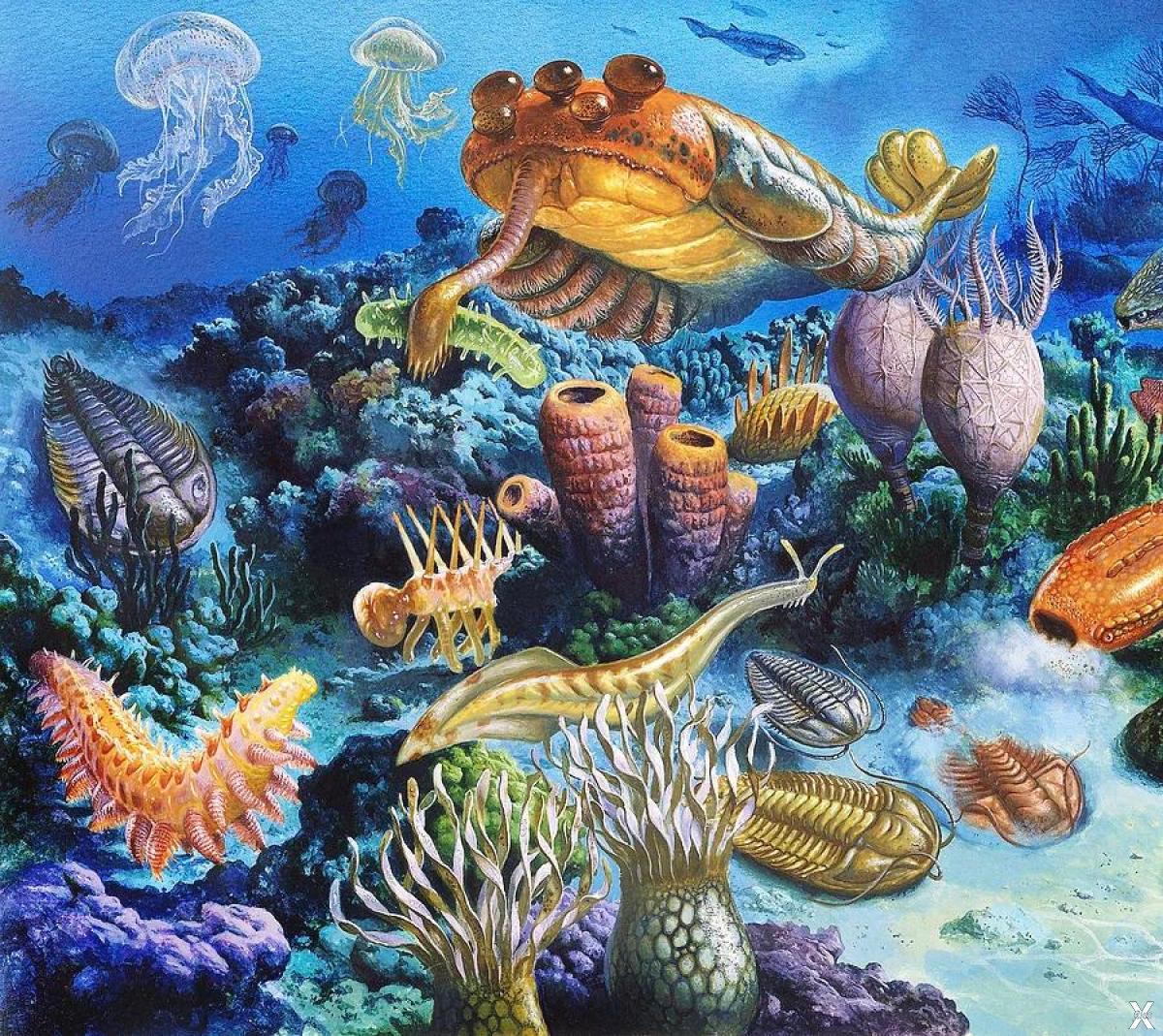 Разнообразие живых организмов в океане. Палеозой Эра Кембрий. Протерозойская Эра Кембрий. Кембрийский период палеозойской эры. Палеозойская Эра ордовикский период.