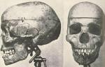 Boskop Man - древние Homo, которые были умнее людей?